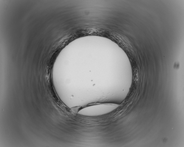 X0000096420607200802211125