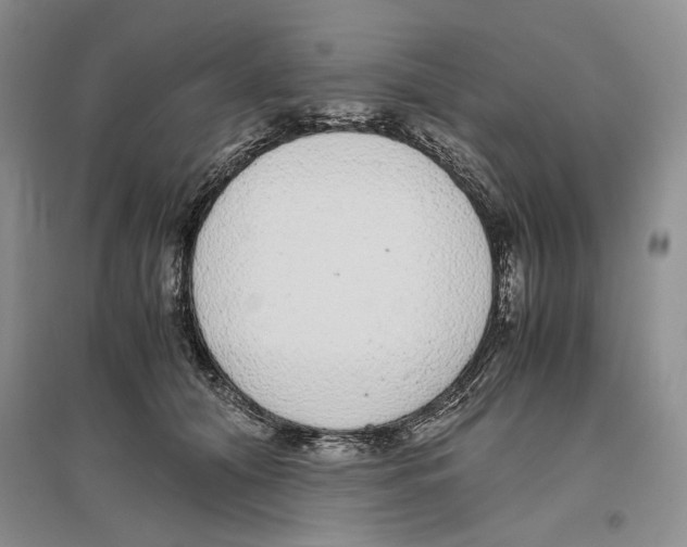 X0000096420608200802211125