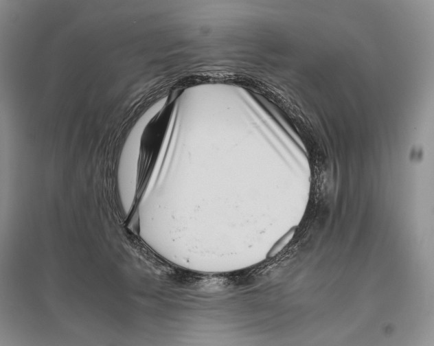 X0000096420609200802211125