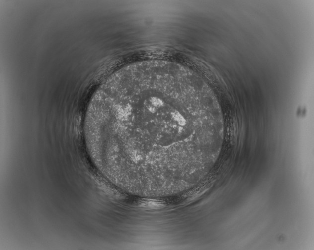 X0000096420610200802211125
