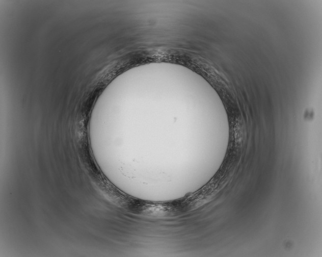 X0000096420611200802211125