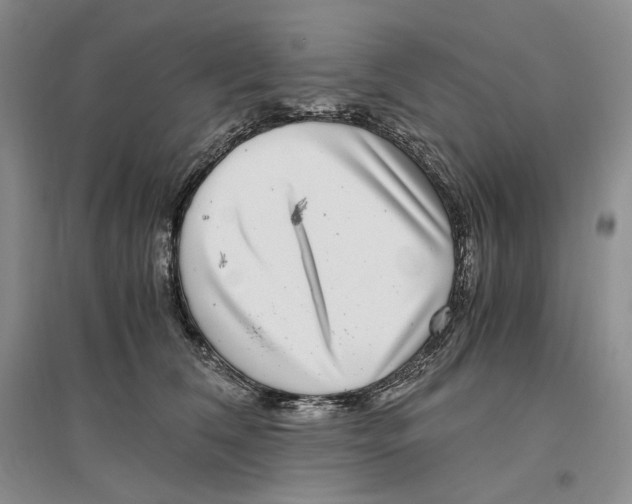 X0000096420612200802211125