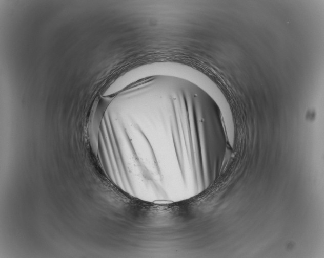 X0000096420613200802211125