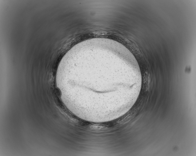X0000096420614200802211125