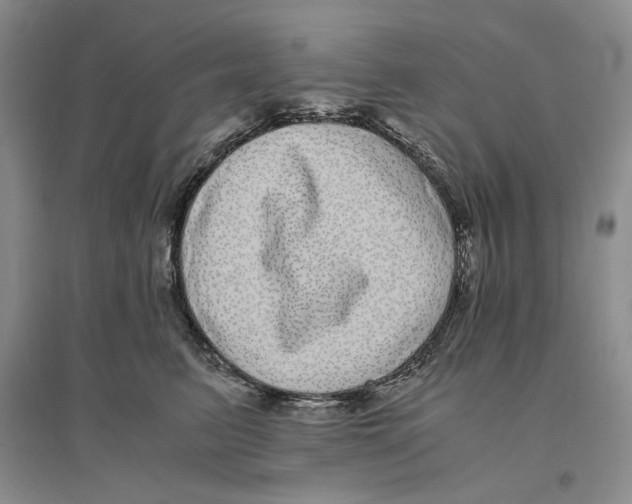 X0000096420615200802211125