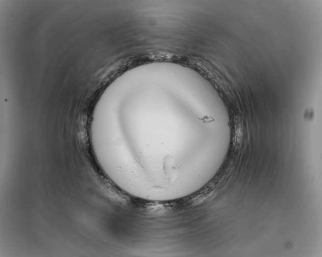 X0000096420616200802211125