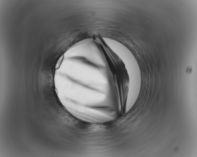 X0000096420617200802211125