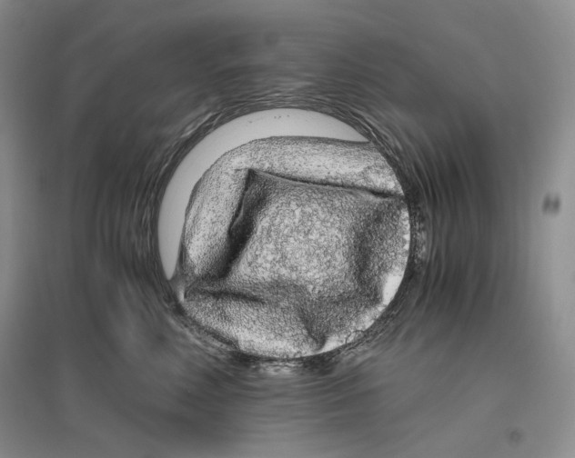 X0000096420618200802211125