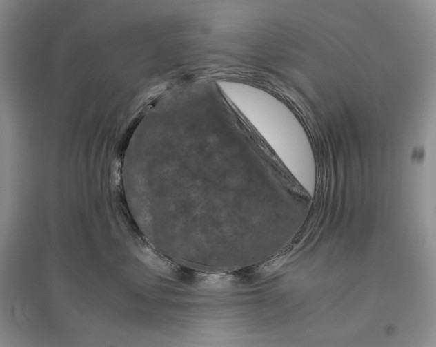 X0000096420621200802211125
