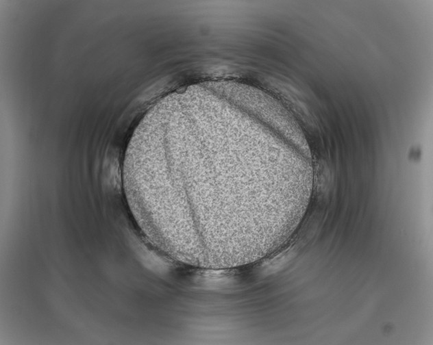 X0000096420622200802211125