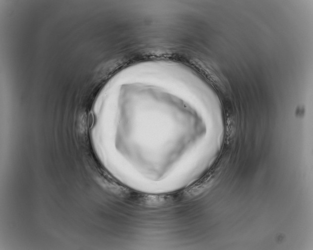 X0000096420623200802211125