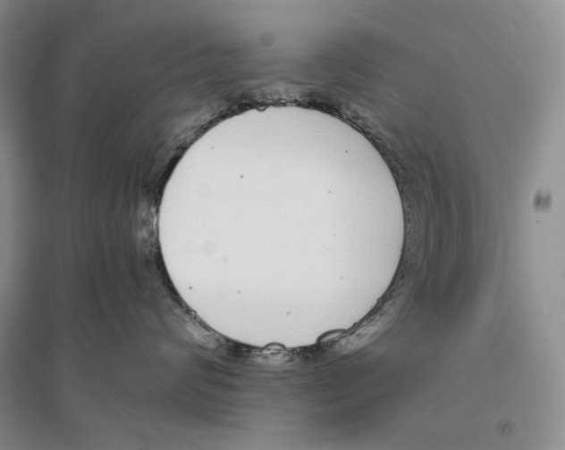 X0000096420624200802211125