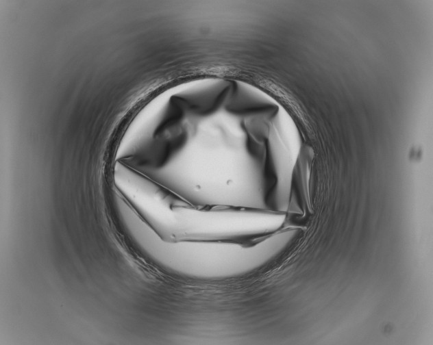 X0000096420626200802211124