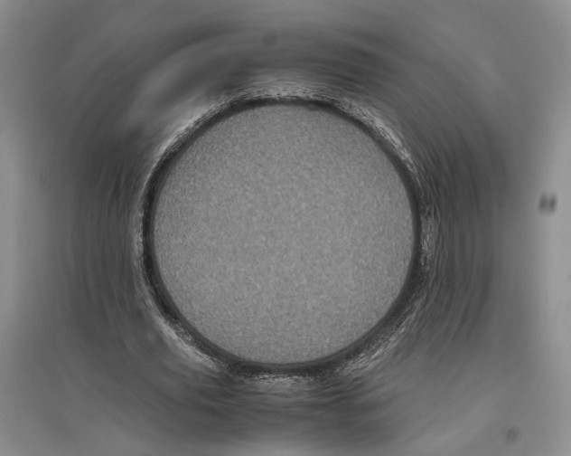 X0000096420629200802211124