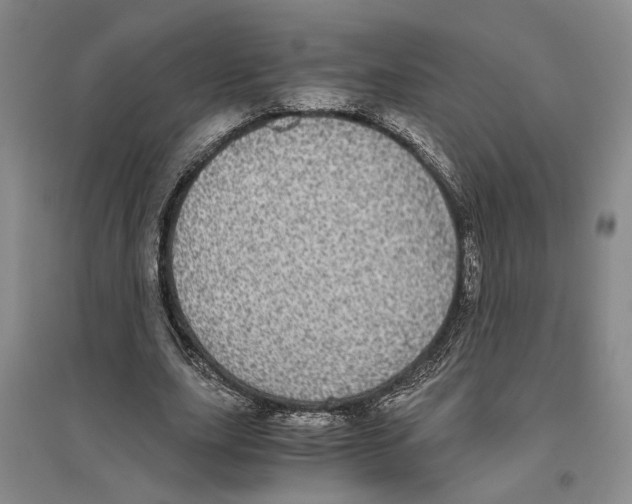 X0000096420631200802211124