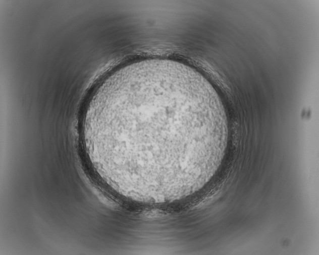 X0000096420634200802211124