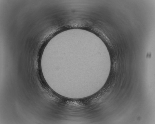 X0000096420635200802211124