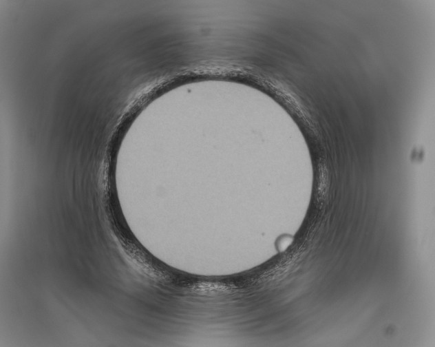 X0000096420636200802211124
