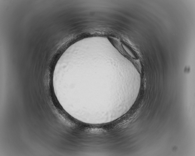 X0000096420637200802211124
