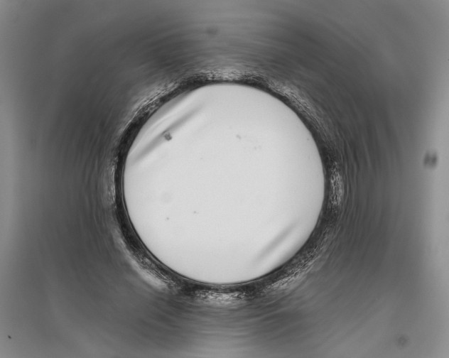 X0000096420638200802211124