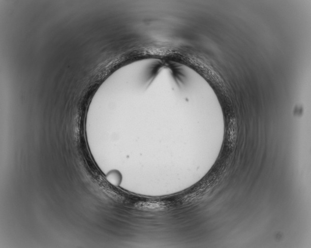 X0000096420639200802211124
