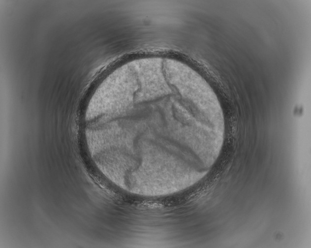 X0000096420640200802211124