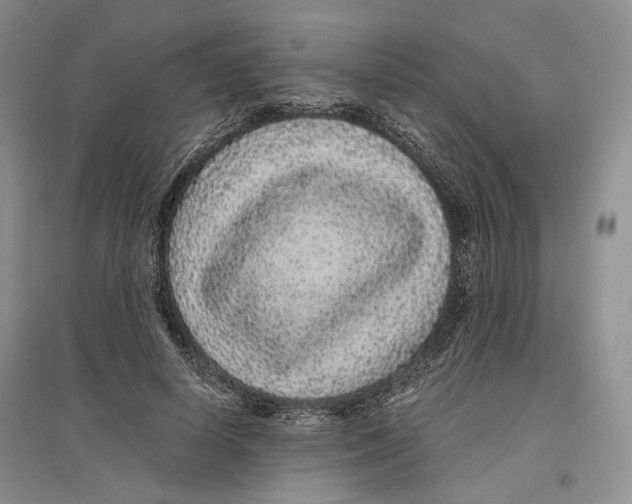 X0000096420642200802211124