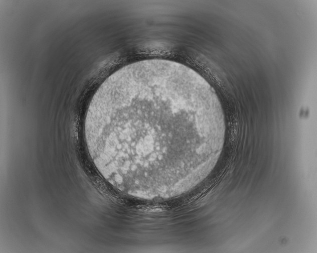 X0000096420643200802211124