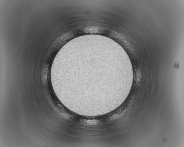 X0000096420645200802211124
