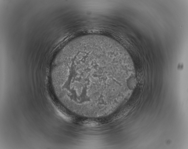 X0000096420648200802211125