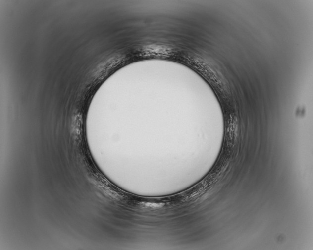 X0000096420649200802211125