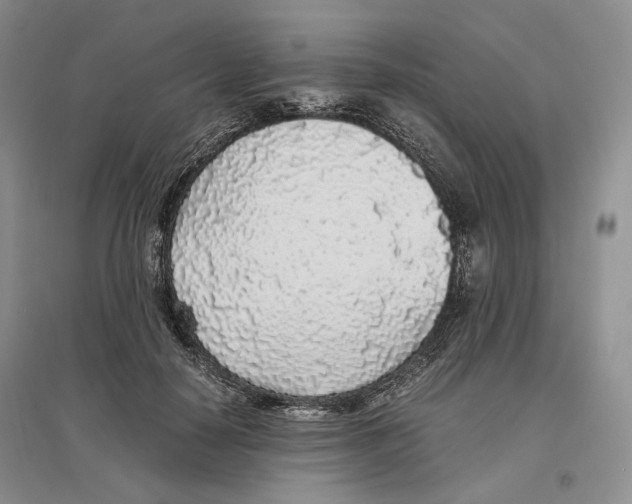 X0000096420650200802211125
