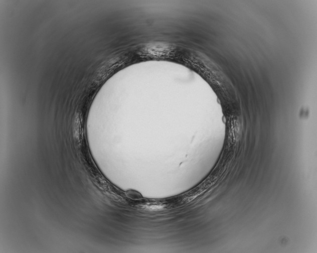X0000096420651200802211125