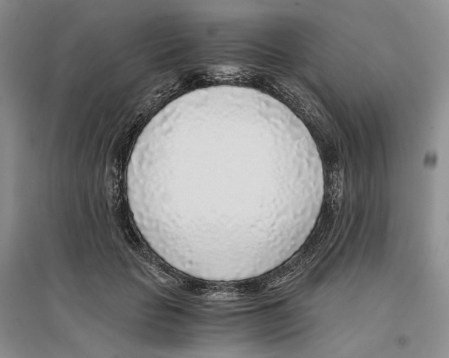 X0000096420653200802211125