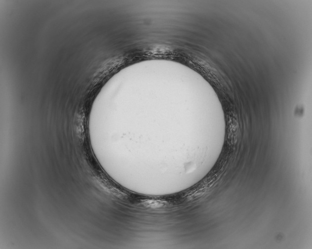 X0000096420654200802211125