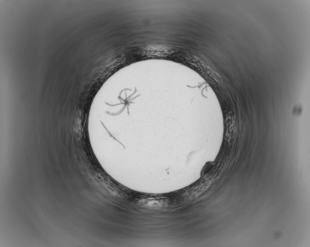 X0000096420655200802211125