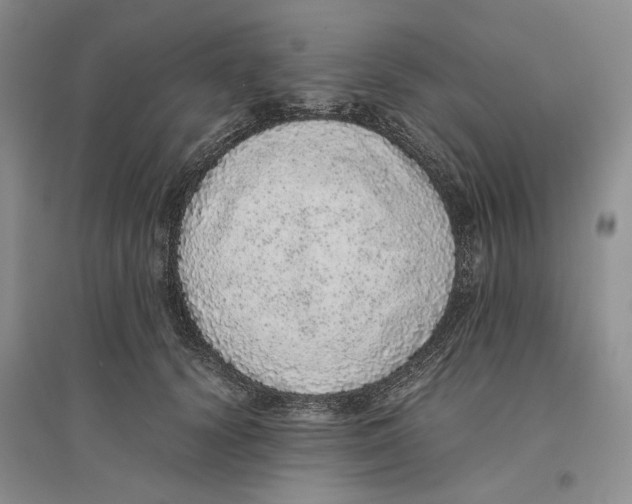 X0000096420656200802211125