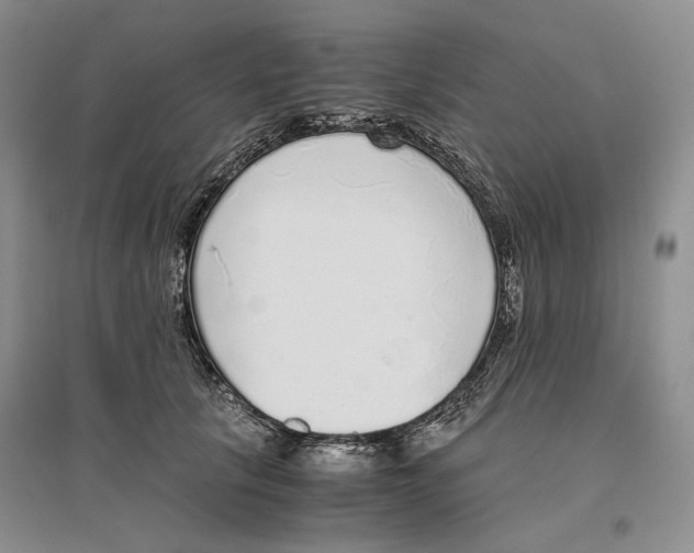 X0000096420657200802211125