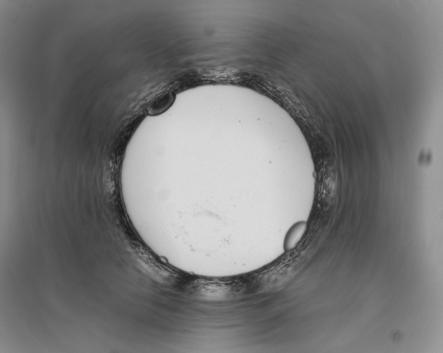 X0000096420658200802211125