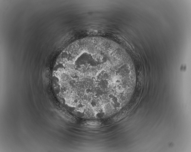 X0000096420659200802211125