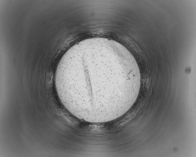 X0000096420660200802211125