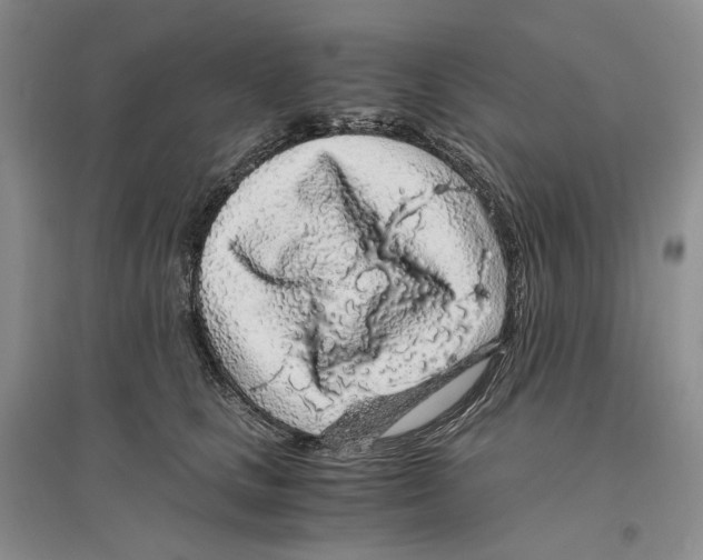 X0000096420661200802211125