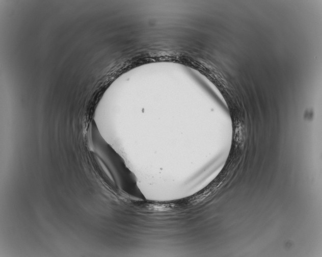 X0000096420662200802211125