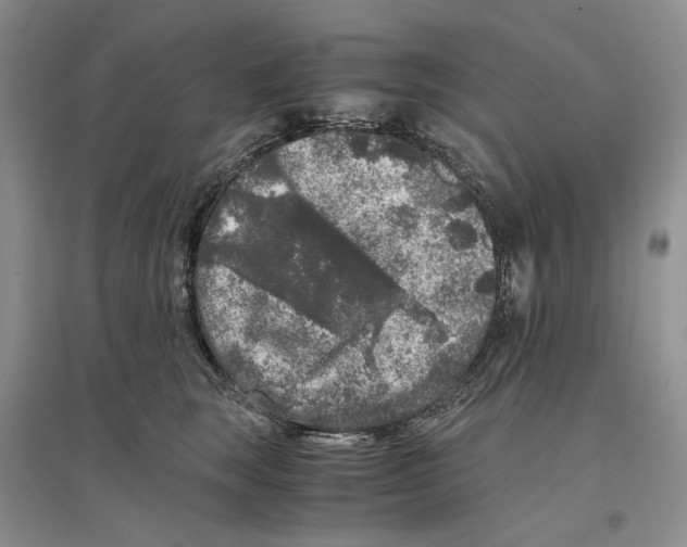 X0000096420663200802211125