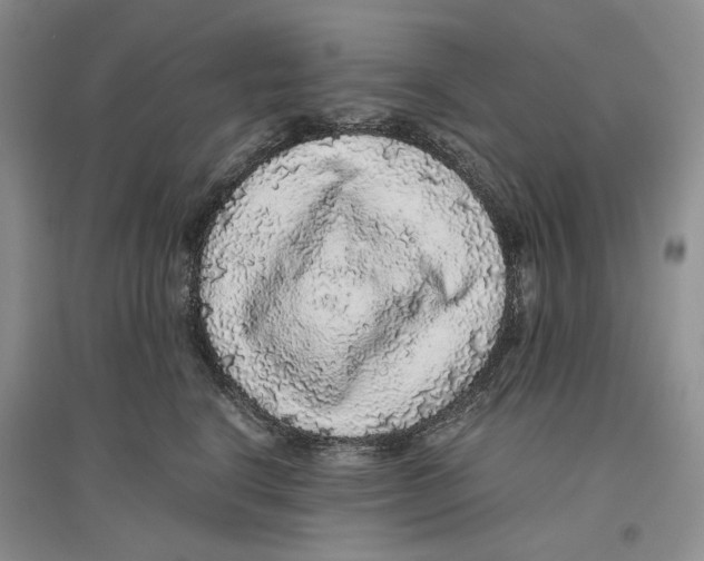X0000096420664200802211125