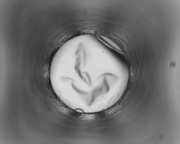 X0000096420665200802211125