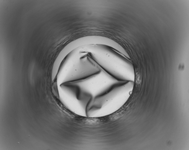 X0000096420666200802211125