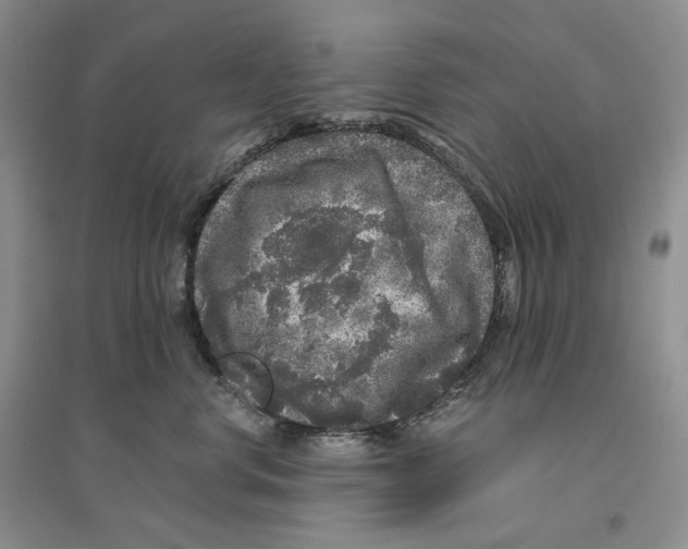 X0000096420668200802211125