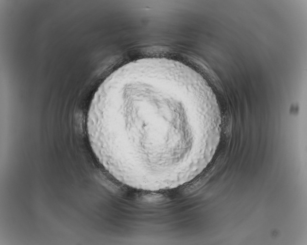 X0000096420669200802211125