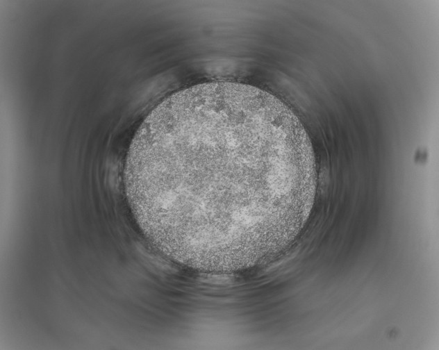 X0000096420671200802211125